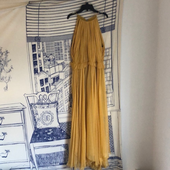 Maria Lucia Hohan Marigold Kamille silk dress - Picture 3 of 7